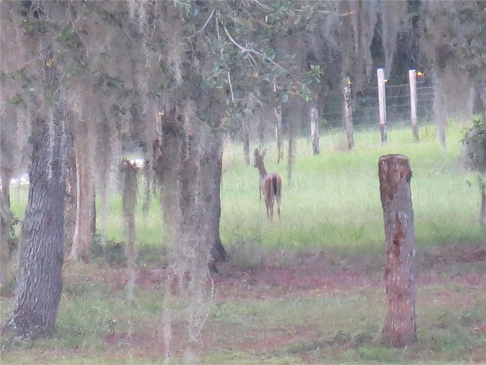 5995 SE 183rd Avenue Road Ocklawaha FL 32179
