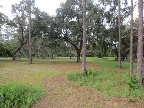 5995 SE 183rd Avenue Road Ocklawaha FL 32179