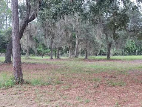 5995 SE 183rd Avenue Road Ocklawaha FL 32179