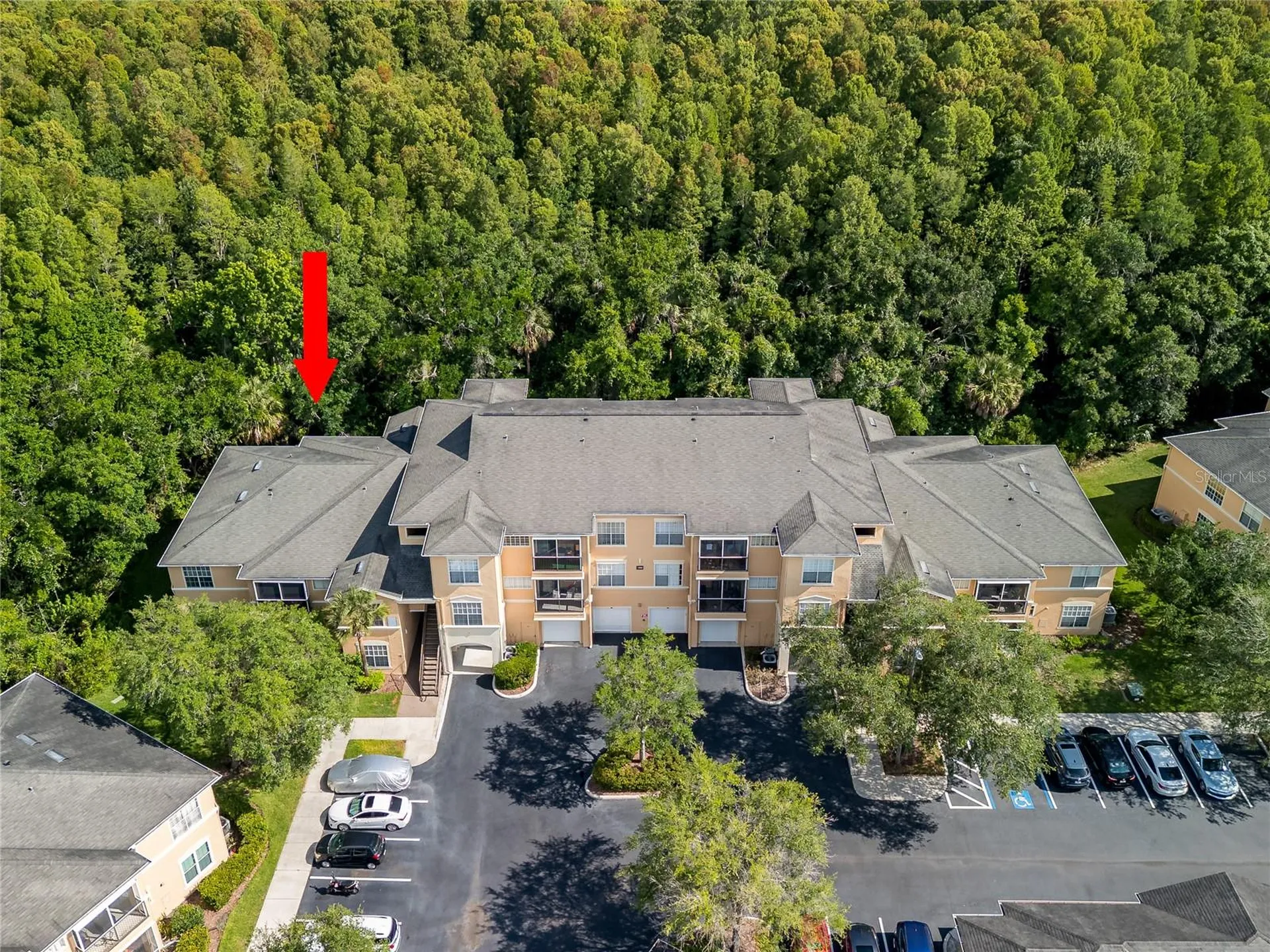 5125 Palm Springs Boulevard Tampa FL 33647