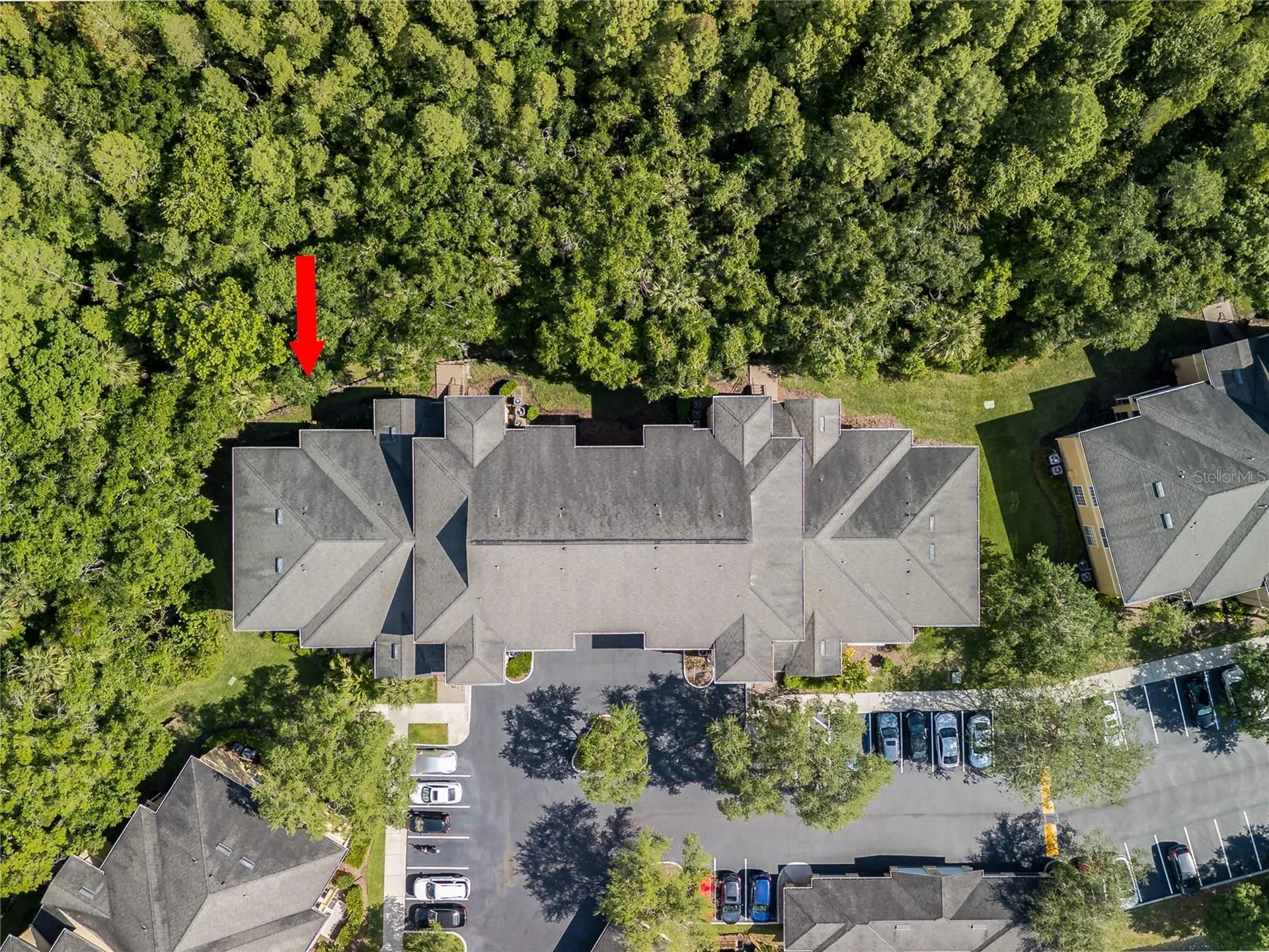 5125 Palm Springs Boulevard Tampa FL 33647