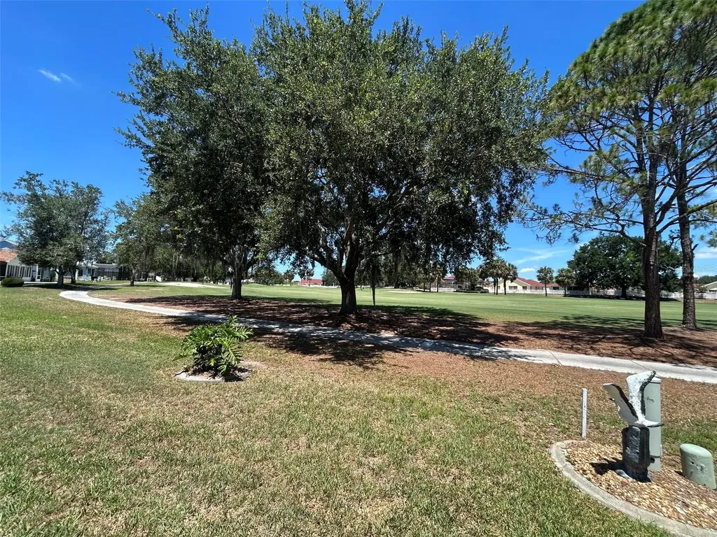 1739 Palo Alto Avenue The Villages FL 32159