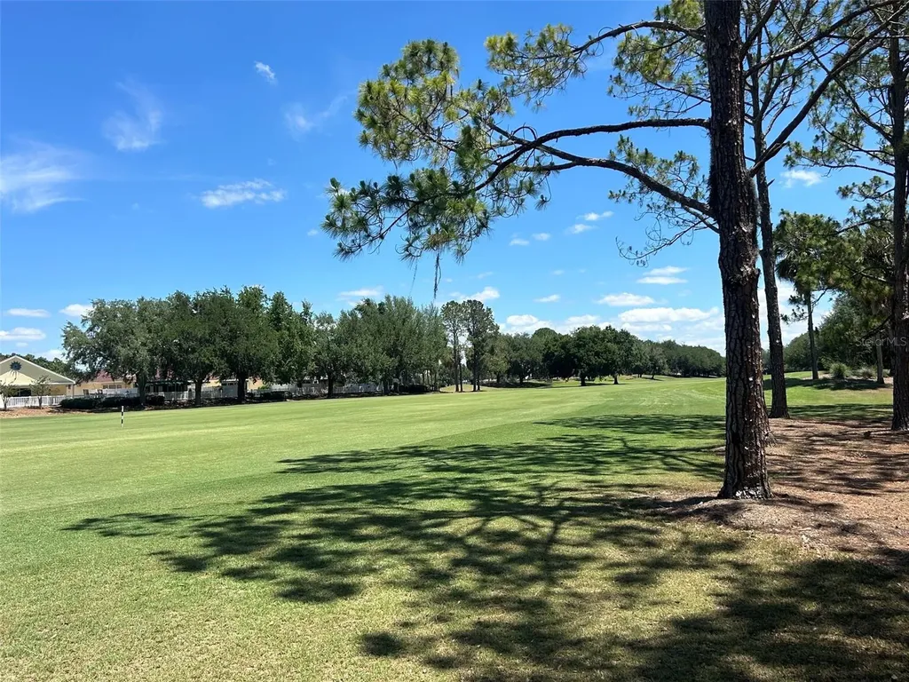 1739 Palo Alto Avenue The Villages FL 32159