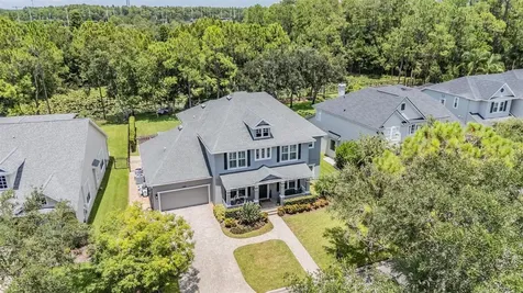14661 Canopy Drive Tampa FL 33626