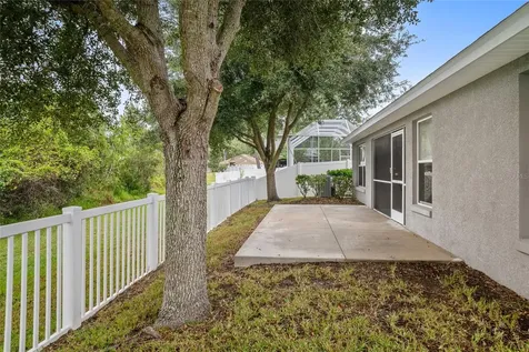 9645 Jaybird Lane Land O Lakes FL 34638