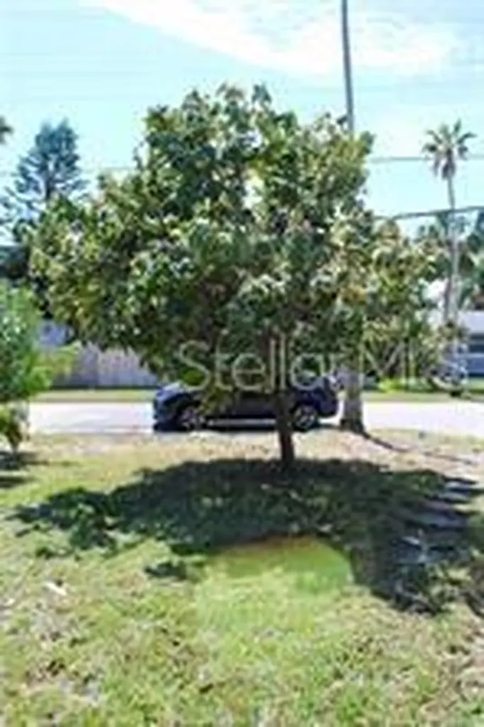1519 Delaware Avenue NE St Petersburg FL 33703