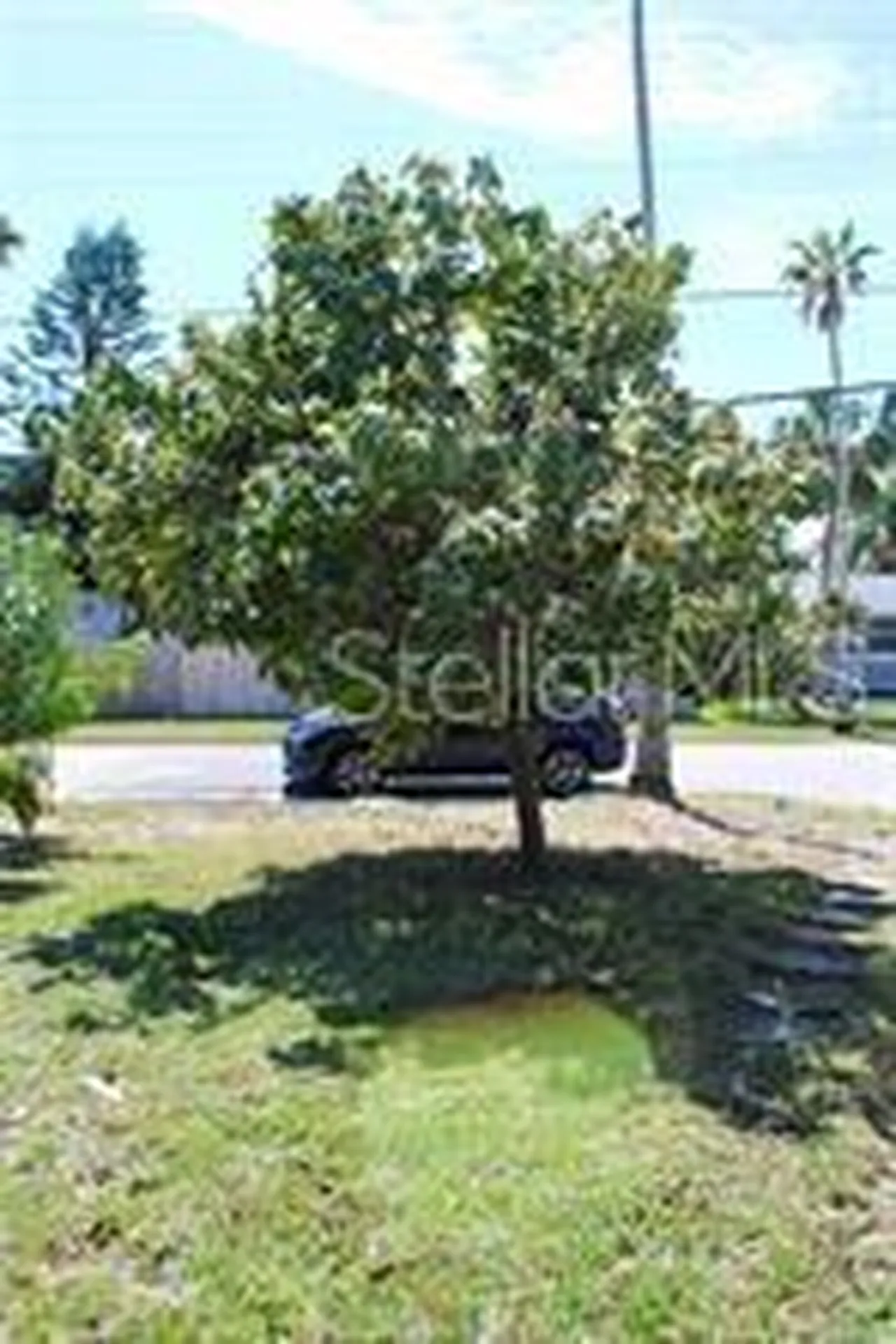 1519 Delaware Avenue NE St Petersburg FL 33703