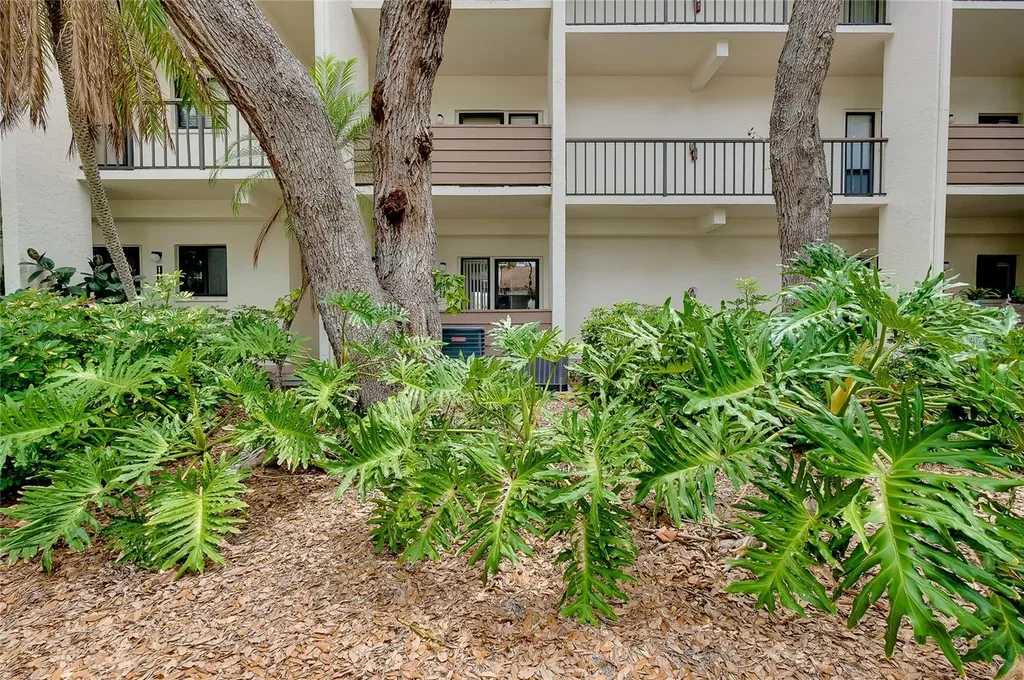 1186 Bird Bay Way Venice FL 34285
