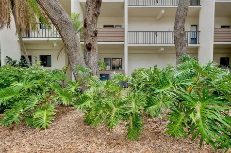 1186 Bird Bay Way Venice FL 34285