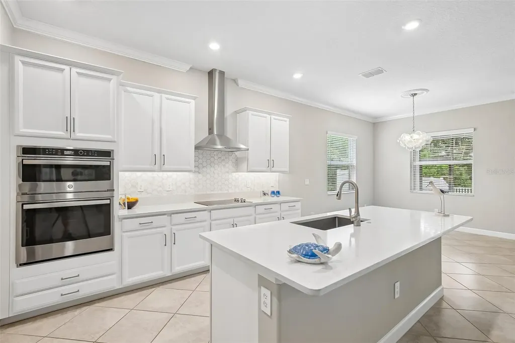 11040 Banyan Breeze Boulevard Land O Lakes FL 34638