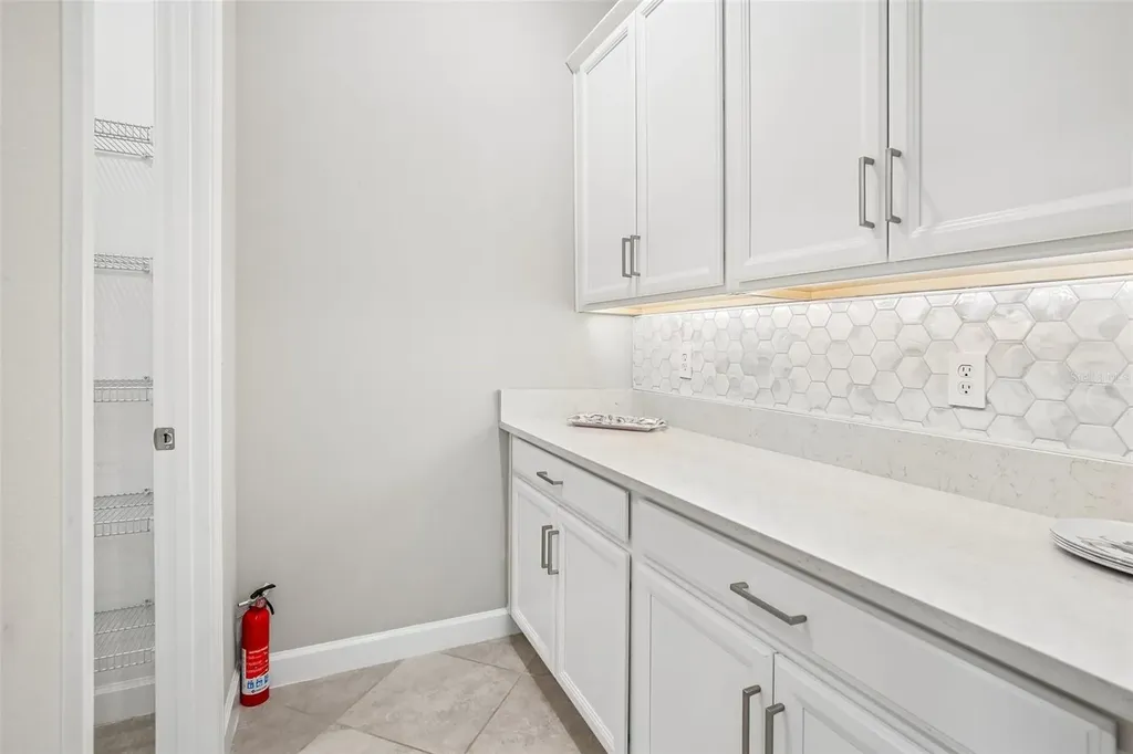 11040 Banyan Breeze Boulevard Land O Lakes FL 34638