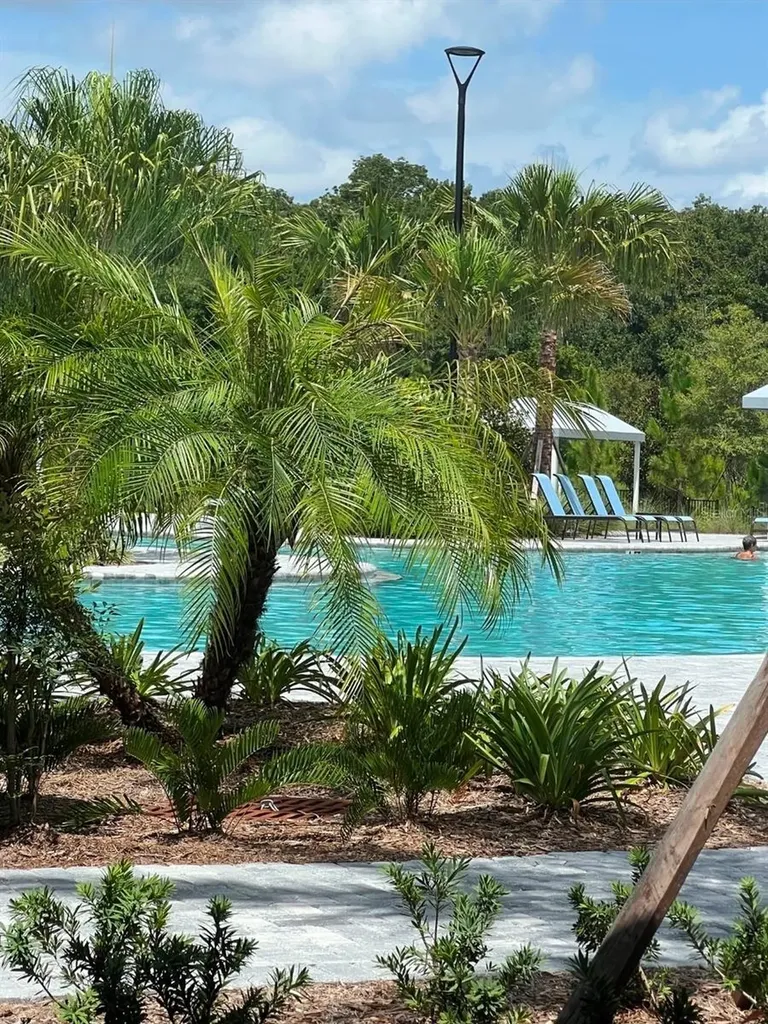 11040 Banyan Breeze Boulevard Land O Lakes FL 34638