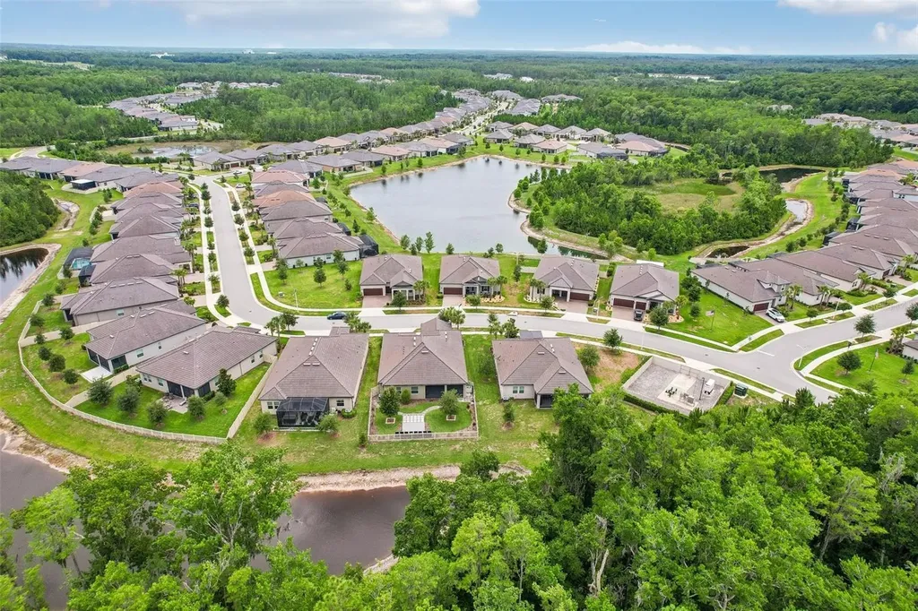 11040 Banyan Breeze Boulevard Land O Lakes FL 34638