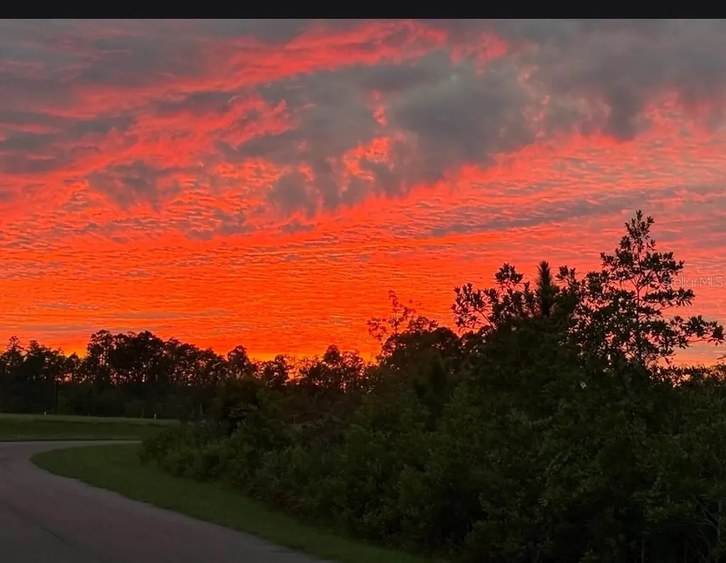 11040 Banyan Breeze Boulevard Land O Lakes FL 34638