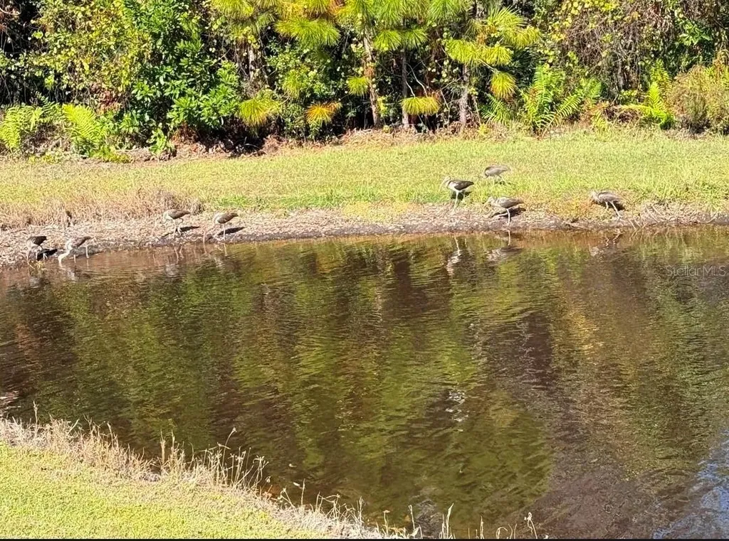 11040 Banyan Breeze Boulevard Land O Lakes FL 34638