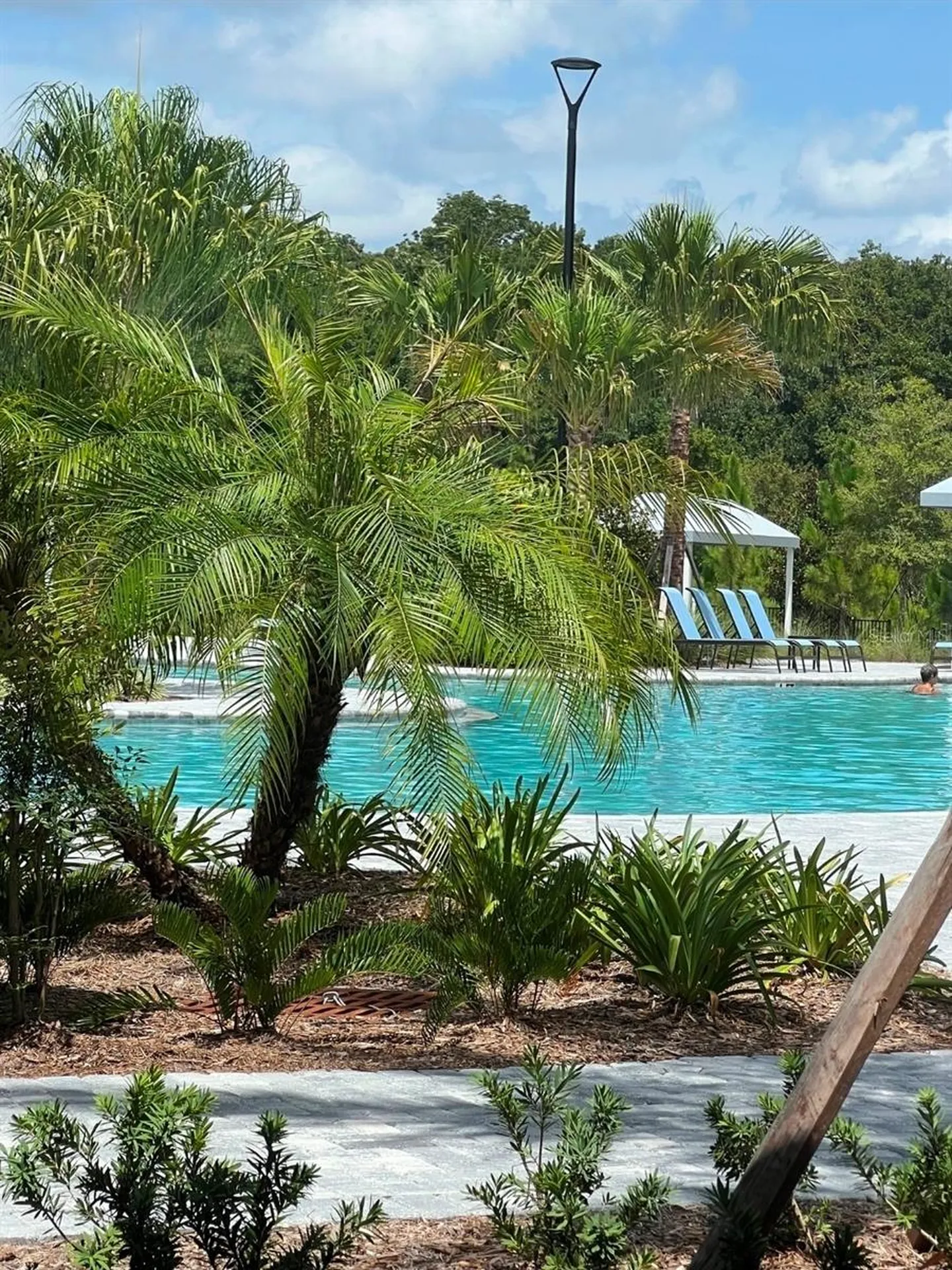 11040 Banyan Breeze Boulevard Land O Lakes FL 34638