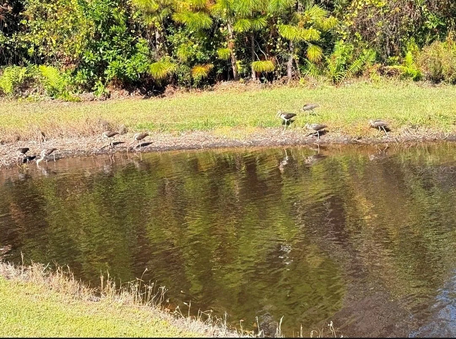 11040 Banyan Breeze Boulevard Land O Lakes FL 34638