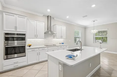 11040 Banyan Breeze Boulevard Land O Lakes FL 34638