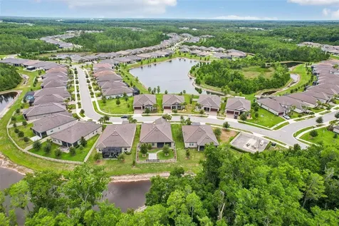 11040 Banyan Breeze Boulevard Land O Lakes FL 34638