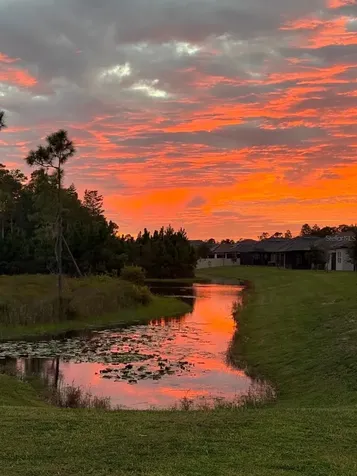 11040 Banyan Breeze Boulevard Land O Lakes FL 34638