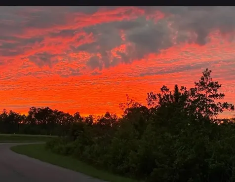 11040 Banyan Breeze Boulevard Land O Lakes FL 34638