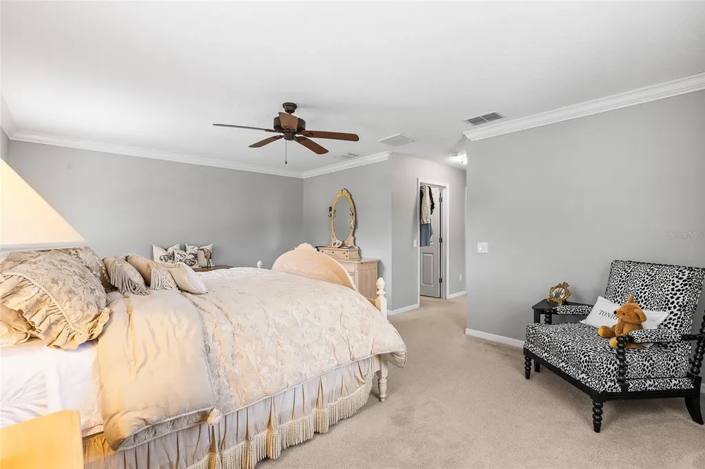12589 Streamdale Drive Tampa FL 33626