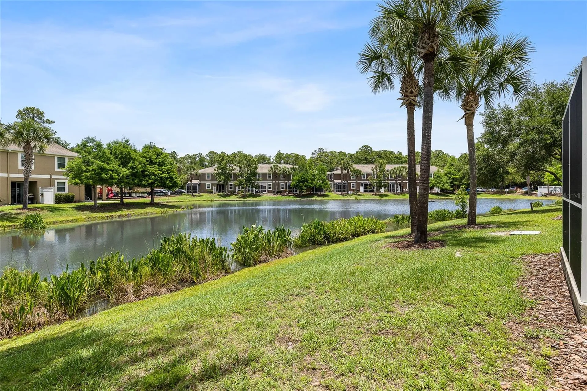 12589 Streamdale Drive Tampa FL 33626