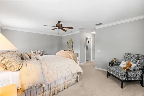 12589 Streamdale Drive Tampa FL 33626