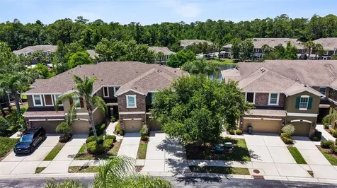 12589 Streamdale Drive Tampa FL 33626