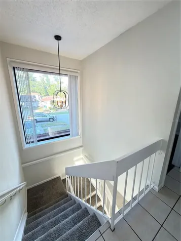 10520 Winrock Place Tampa FL 33624