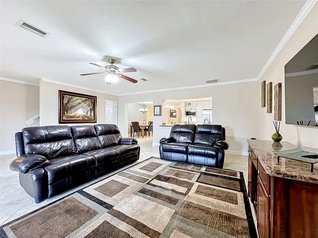 6517 Solitaire Palm Way Apollo Beach FL 33572