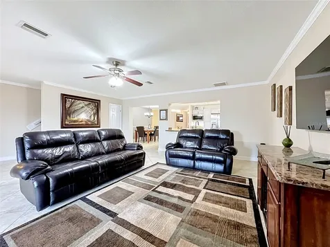 6517 Solitaire Palm Way Apollo Beach FL 33572