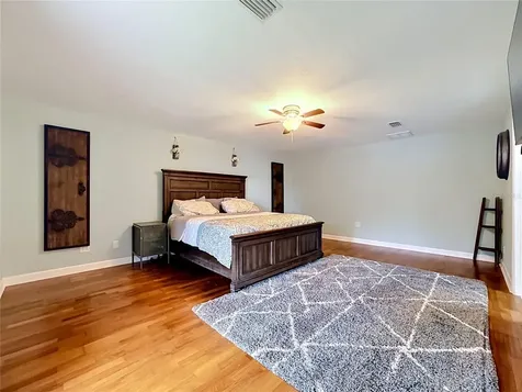 6517 Solitaire Palm Way Apollo Beach FL 33572