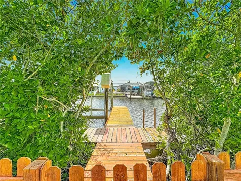 6517 Solitaire Palm Way Apollo Beach FL 33572