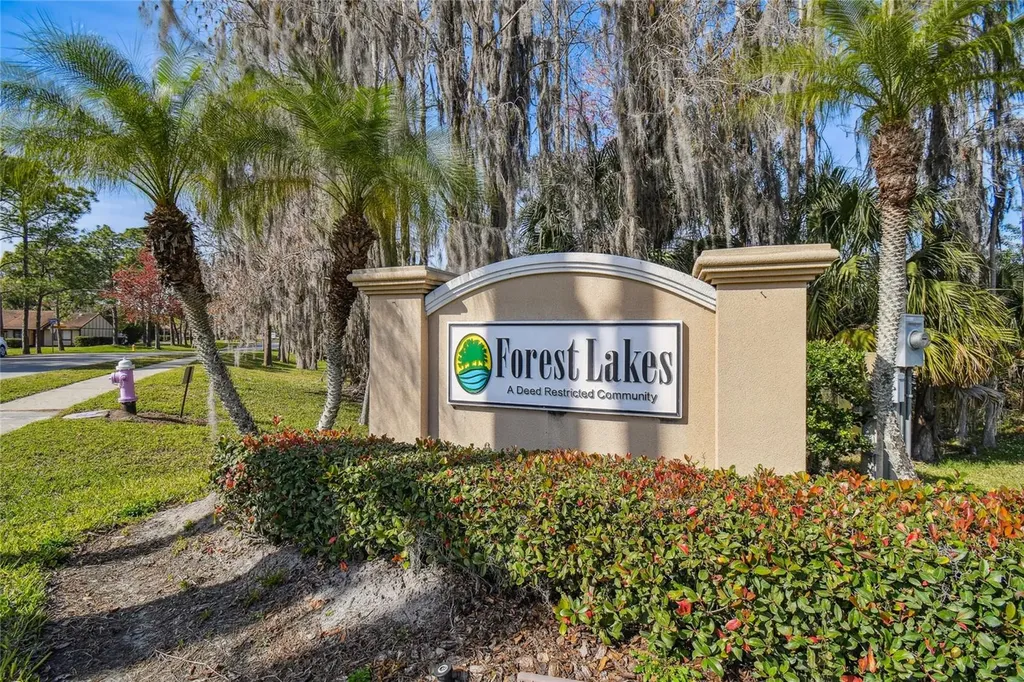 133 Sabal Court Oldsmar FL 34677