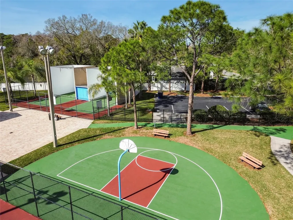133 Sabal Court Oldsmar FL 34677