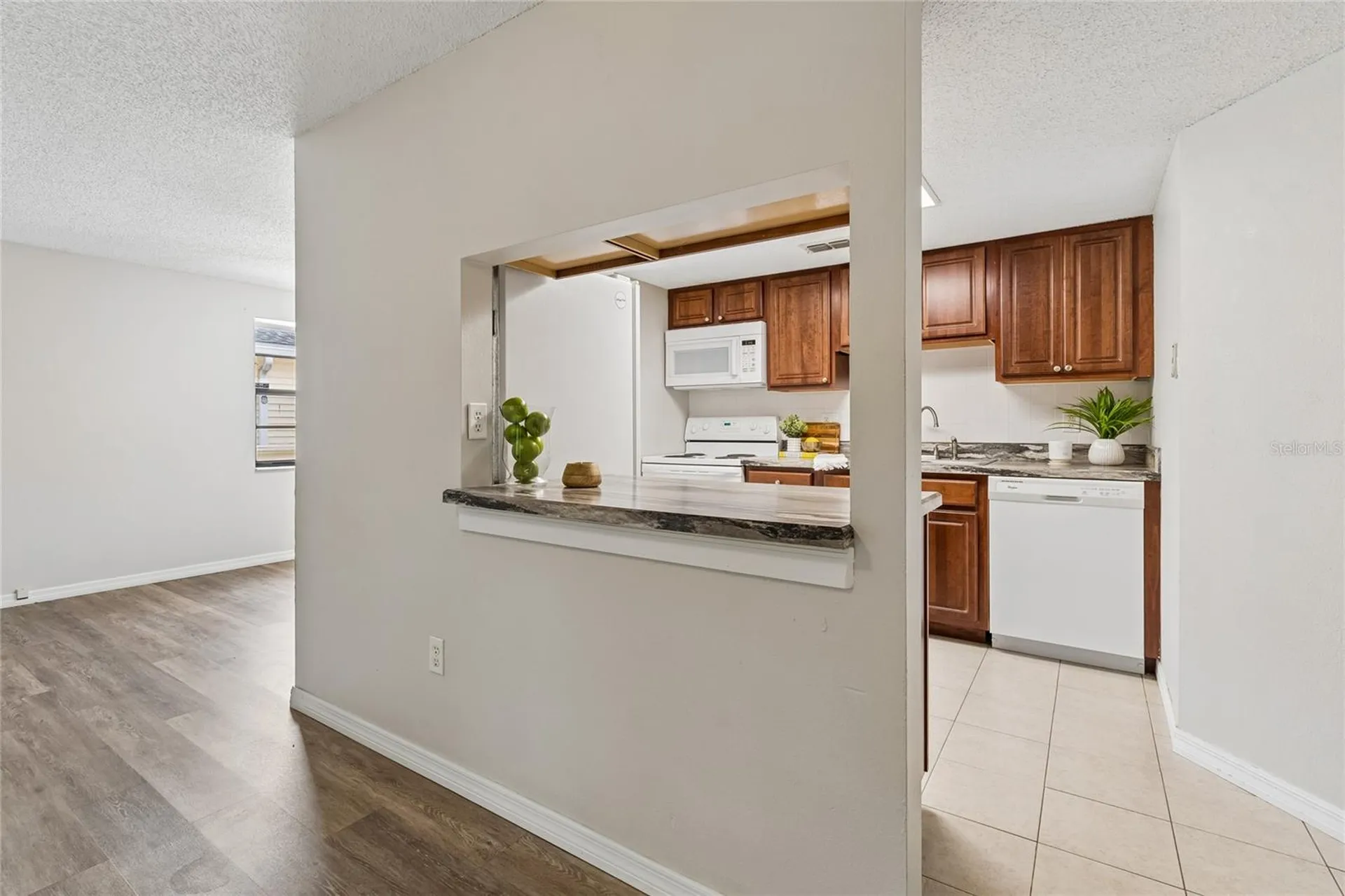 133 Sabal Court Oldsmar FL 34677