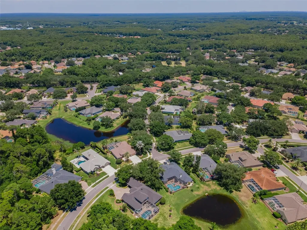 5022 Jewell Terrace Palm Harbor FL 34685