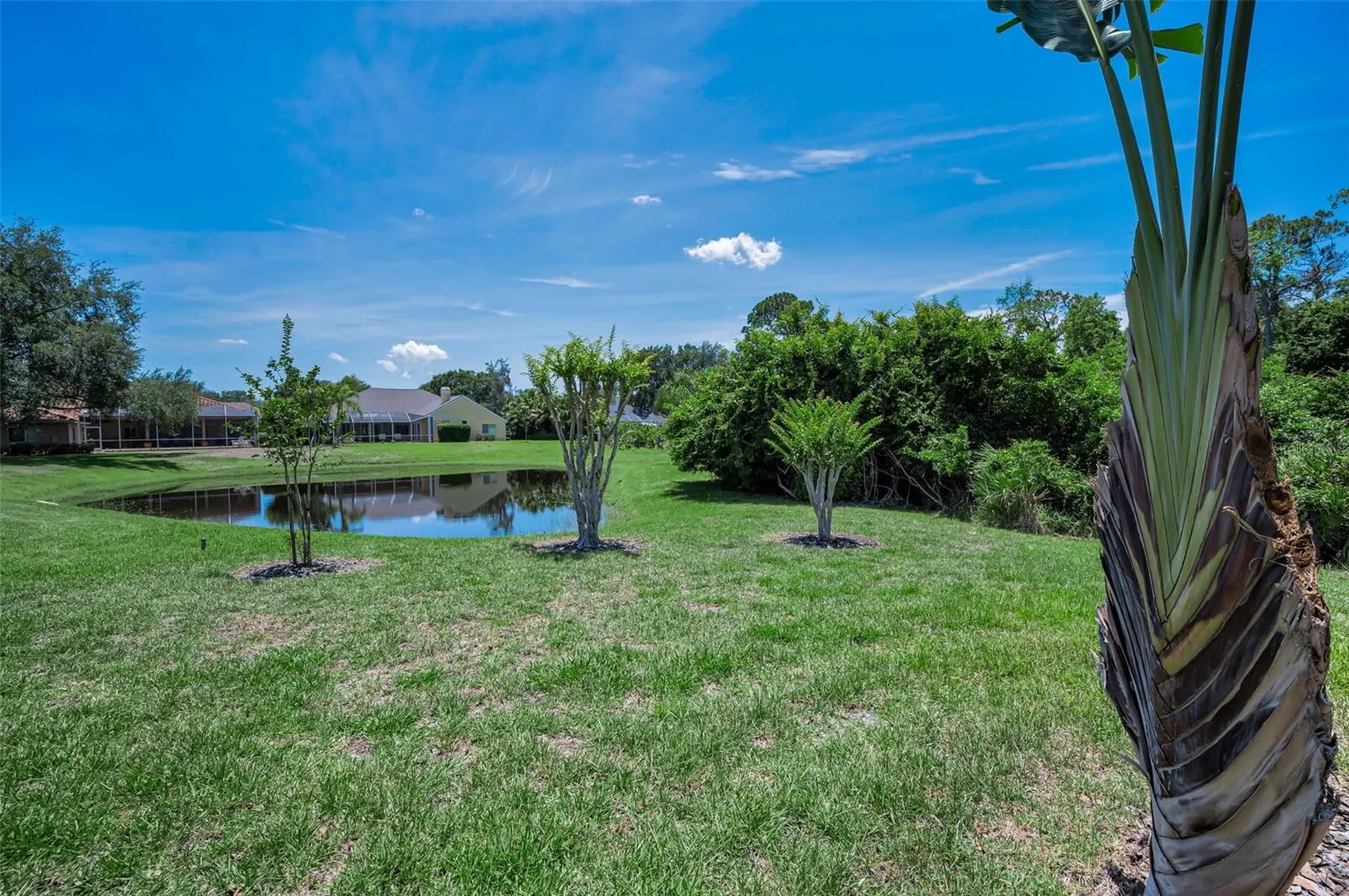 5022 Jewell Terrace Palm Harbor FL 34685