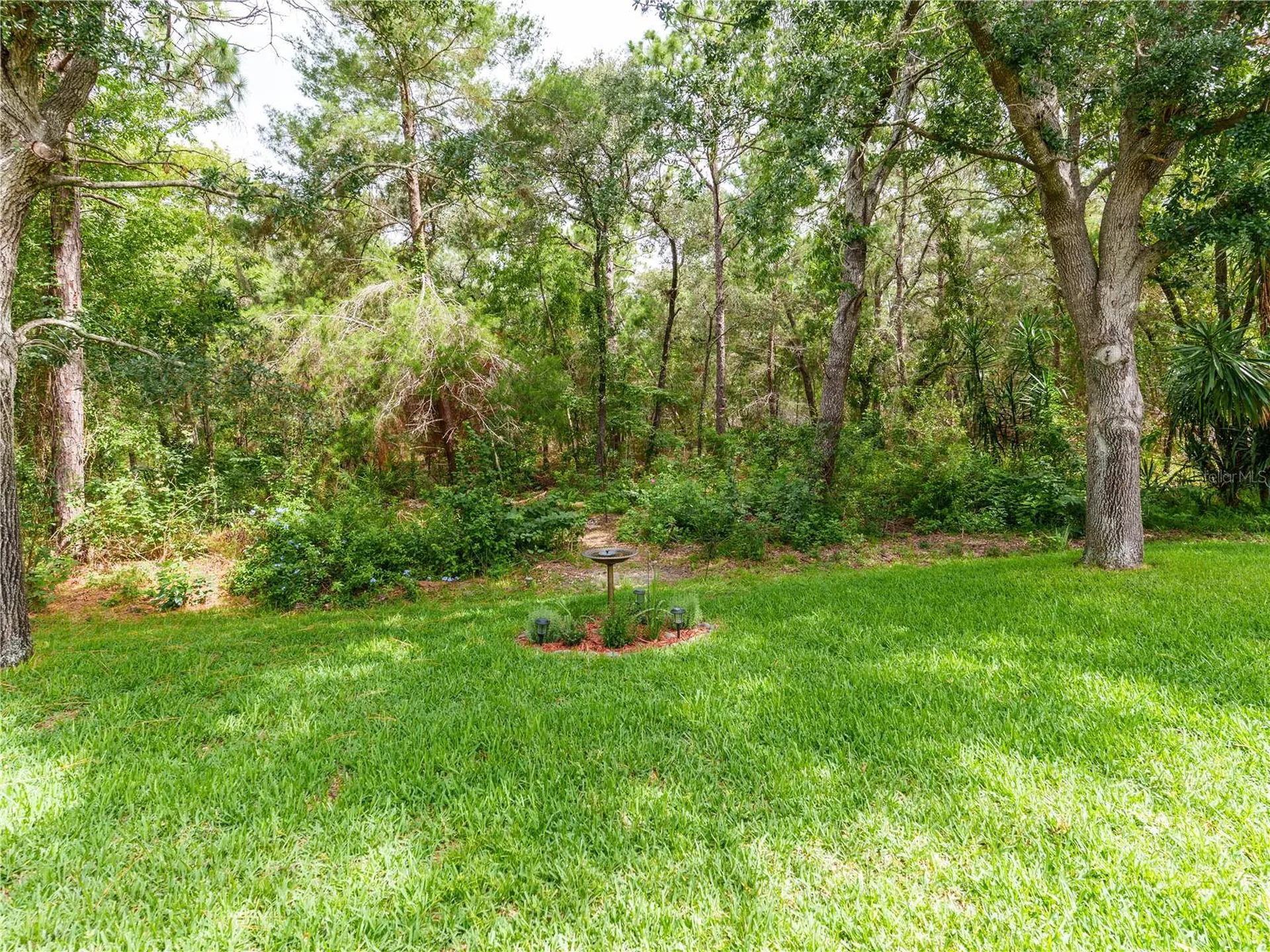 13733 Covey Run Place Spring Hill FL 34609