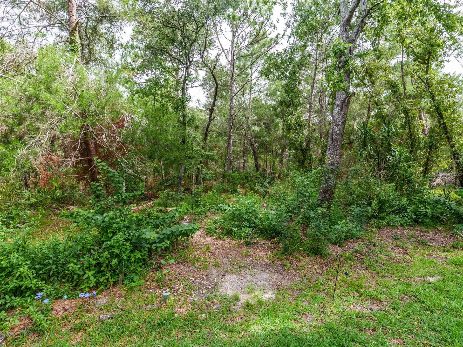 13733 Covey Run Place Spring Hill FL 34609