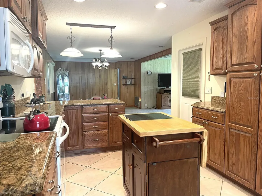 4691 Cr 118 Wildwood FL 34785