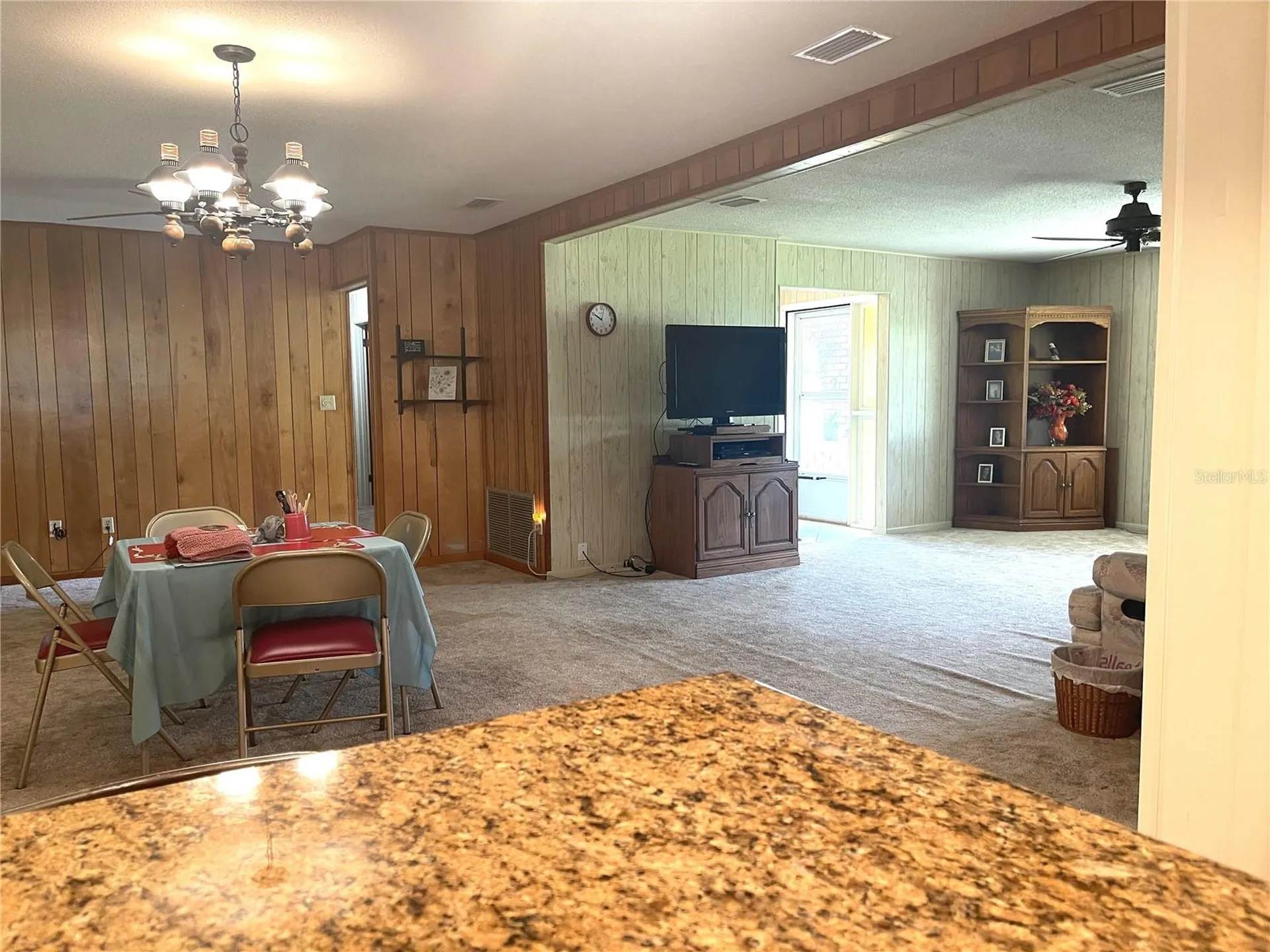 4691 Cr 118 Wildwood FL 34785