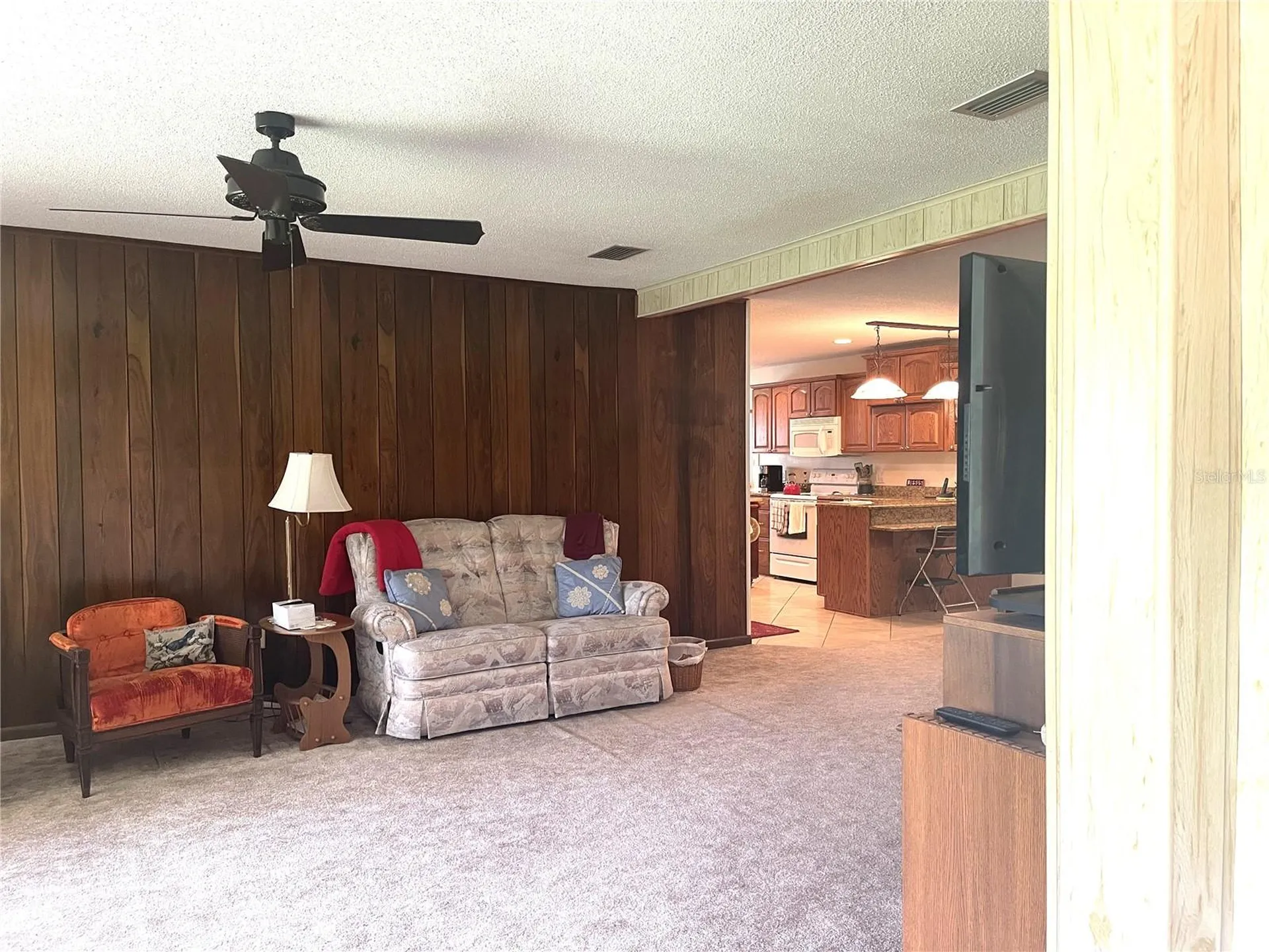 4691 Cr 118 Wildwood FL 34785