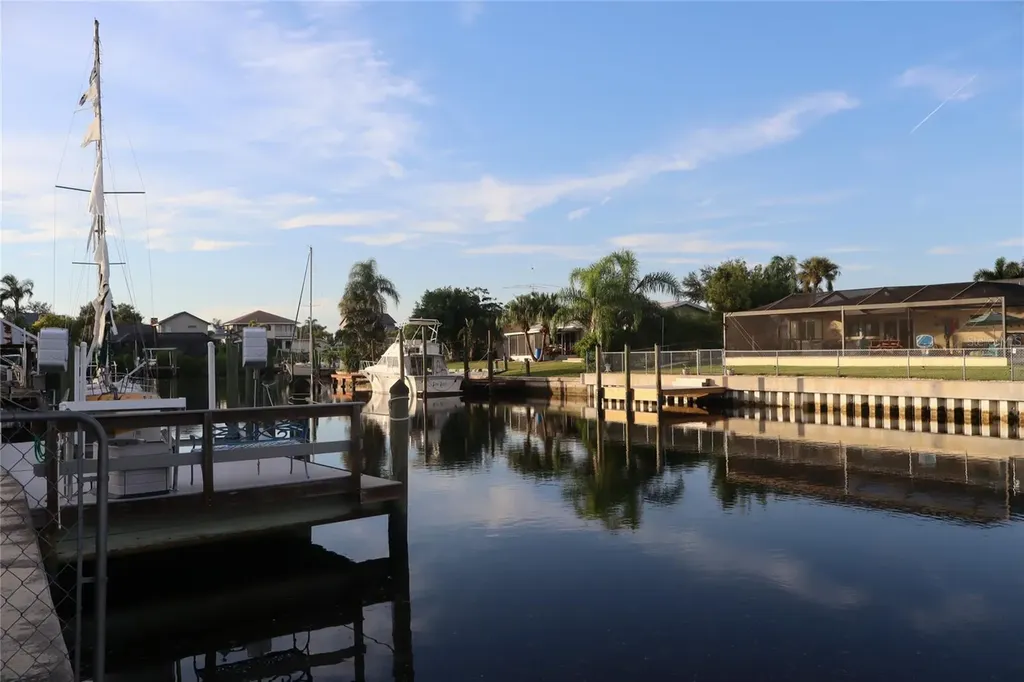 1019 Spindle Palm Way Apollo Beach FL 33572