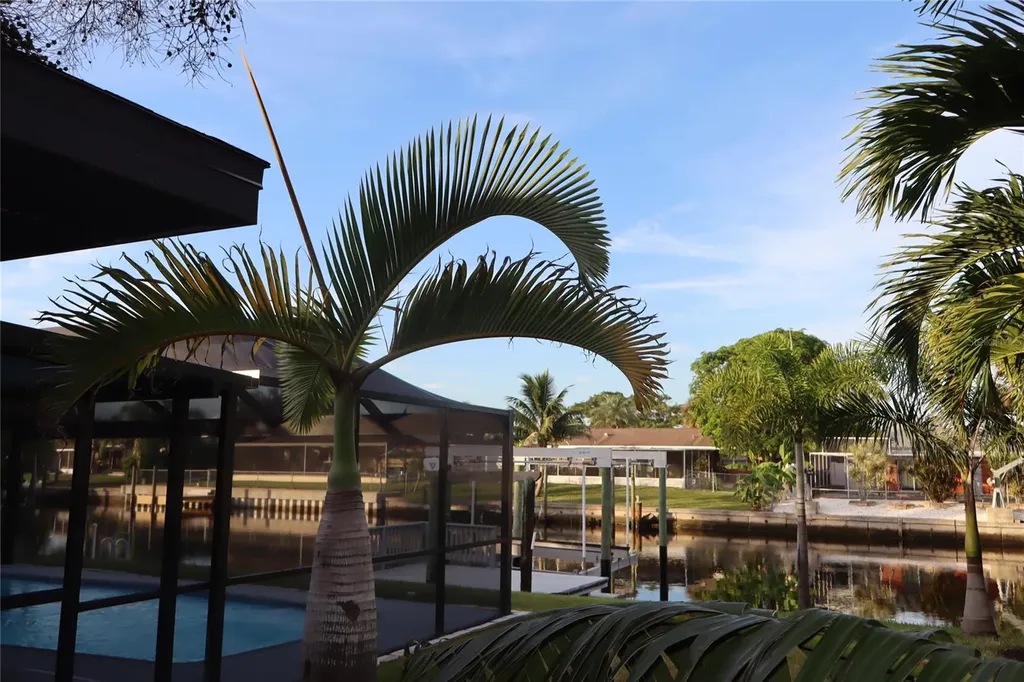 1019 Spindle Palm Way Apollo Beach FL 33572