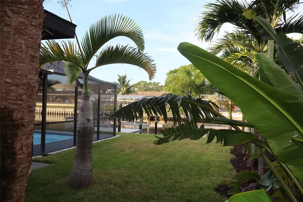 1019 Spindle Palm Way Apollo Beach FL 33572