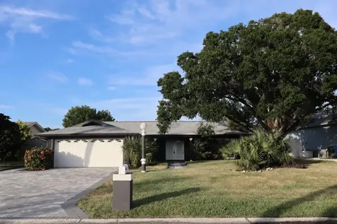 1019 Spindle Palm Way Apollo Beach FL 33572