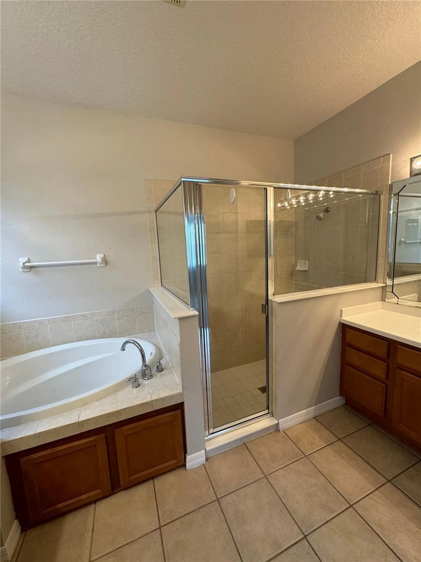 10360 Sandy Marsh Lane Orlando FL 32832
