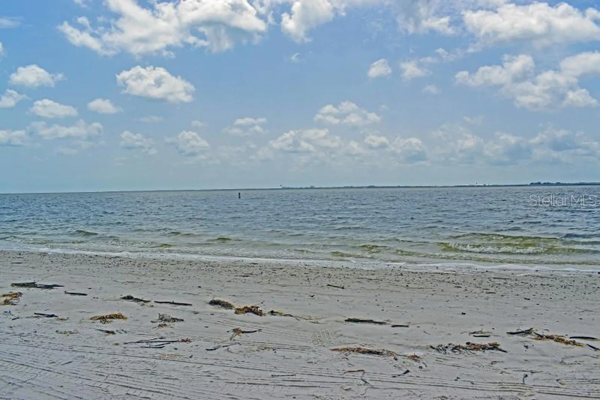 2 N Fernwood Avenue Clearwater FL 33765